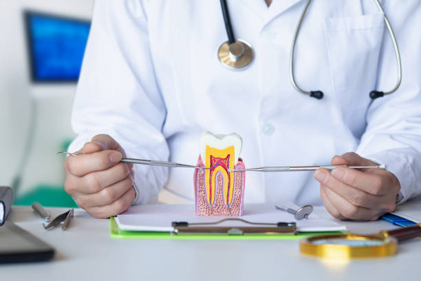 Best Emergency Dental Services for Seniors in New Cumberland, PA